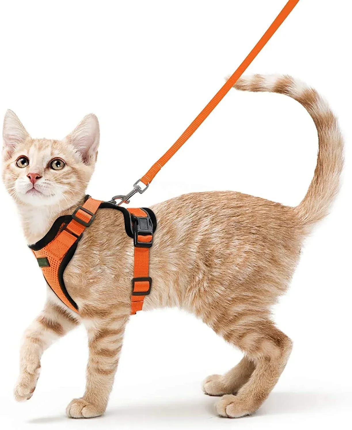 ATUBAN Arnés y correa para gatos para caminar, arneses de chaleco ajustables suaves a prueba de escape para gatos, chaqueta de tiras reflectantes transpirables