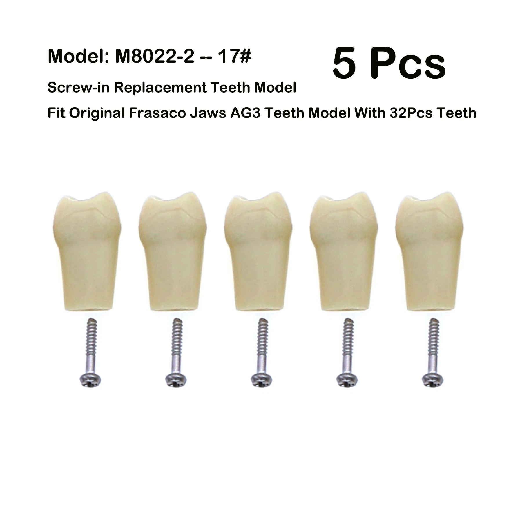 5 sztuk Frasaco szczęki AG3 oryginalny typ Fit wymiana modelu zębów dentystycznych wkręcane standardowe Typodont praktyka wypełnienie 11 # -18 #