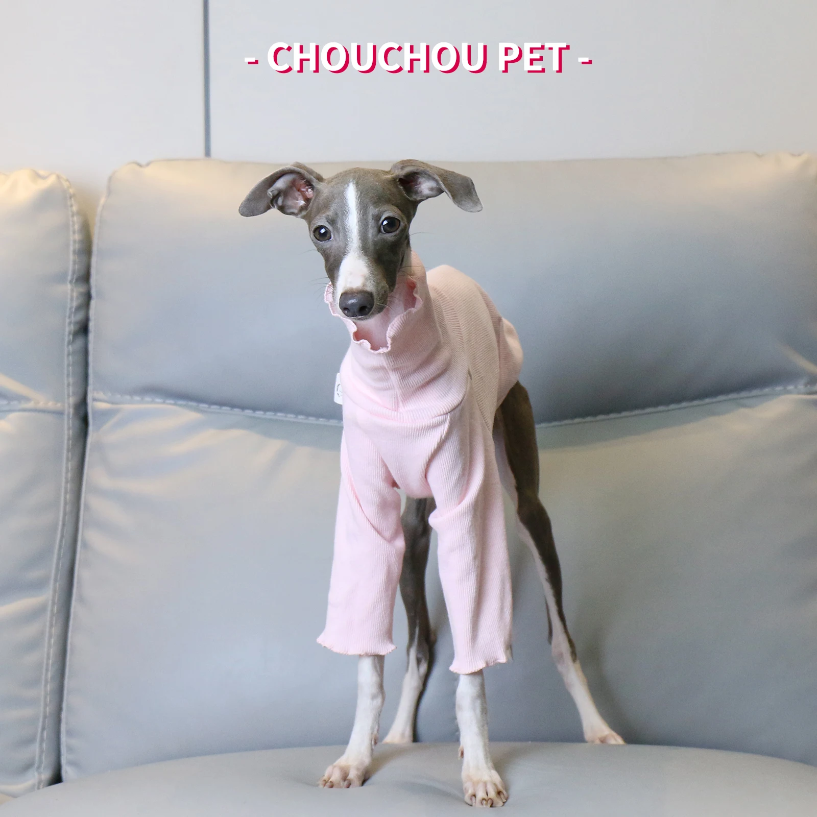 Italian Greyhound Clothes Pink Stretch Soft Cute Whippet Two-legged Outing Dog Clothes