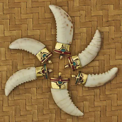 6PCS Natural Seashell Fang Pendants Metal Brass Capped Shell Big Amulets for Man TBP556