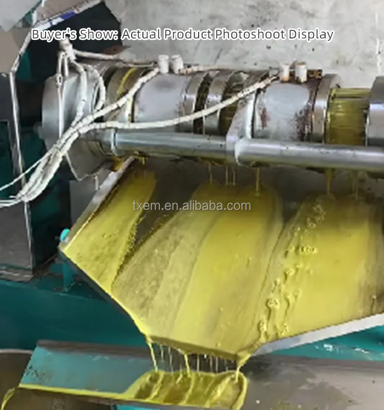 TX متعددة الوظائف النفط الصحافة طارد جوز الهند عباد الشمس الفول السوداني بذور اللفت كعكة آلة استخراج الزيت آلة الضغط البارد والساخن #5