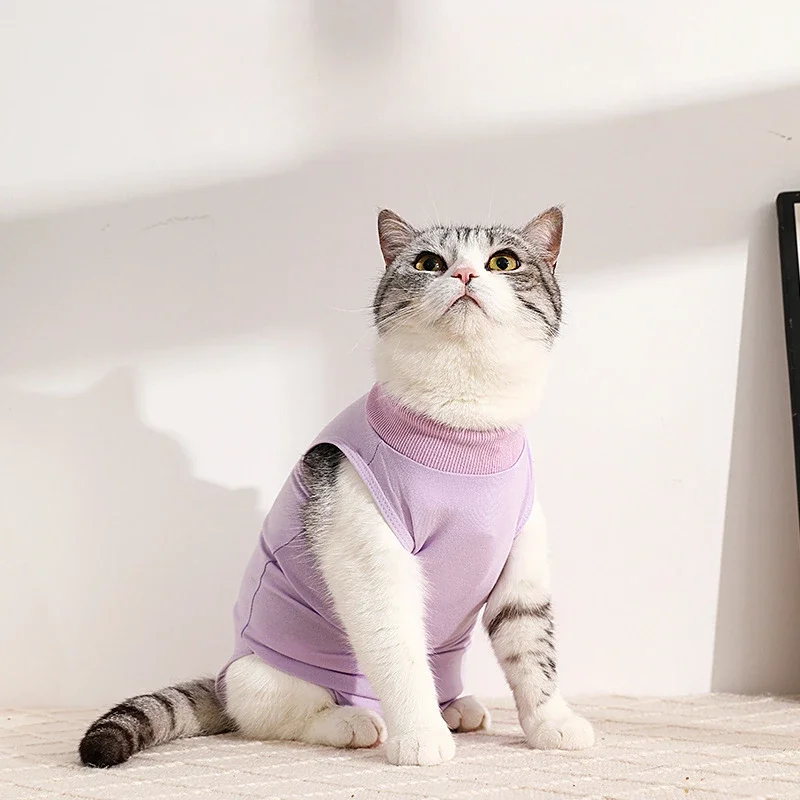 smvp Breathable cat pet clothing made of pure cotton with high elasticity for dogs and pets