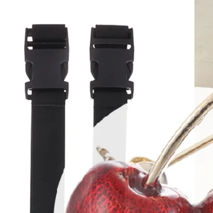 식물 보호 드론용 2개 세트 Agras T70T70PT100T60T50T40T25 프로펠러 블레이드 고정 스트랩