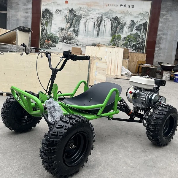 

Wholesale Pedal 3-Wheel Gas Kart 212cc 4-Stroke Chain Drive Disc Brake 110KG Load 60km/h Amusement Park Use Off-Road Buggy
