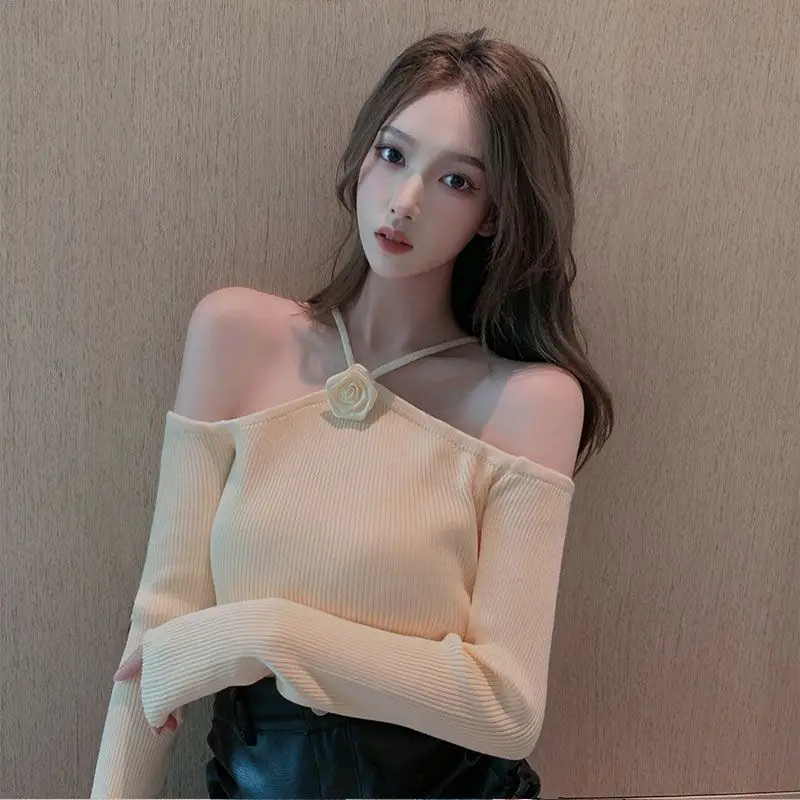 

Spring Autumn New Ice Silk Shirt One Shoulder Halter Long Sleeve Knitted Thin Strap Base Shirt Pure Desire Short Top Women