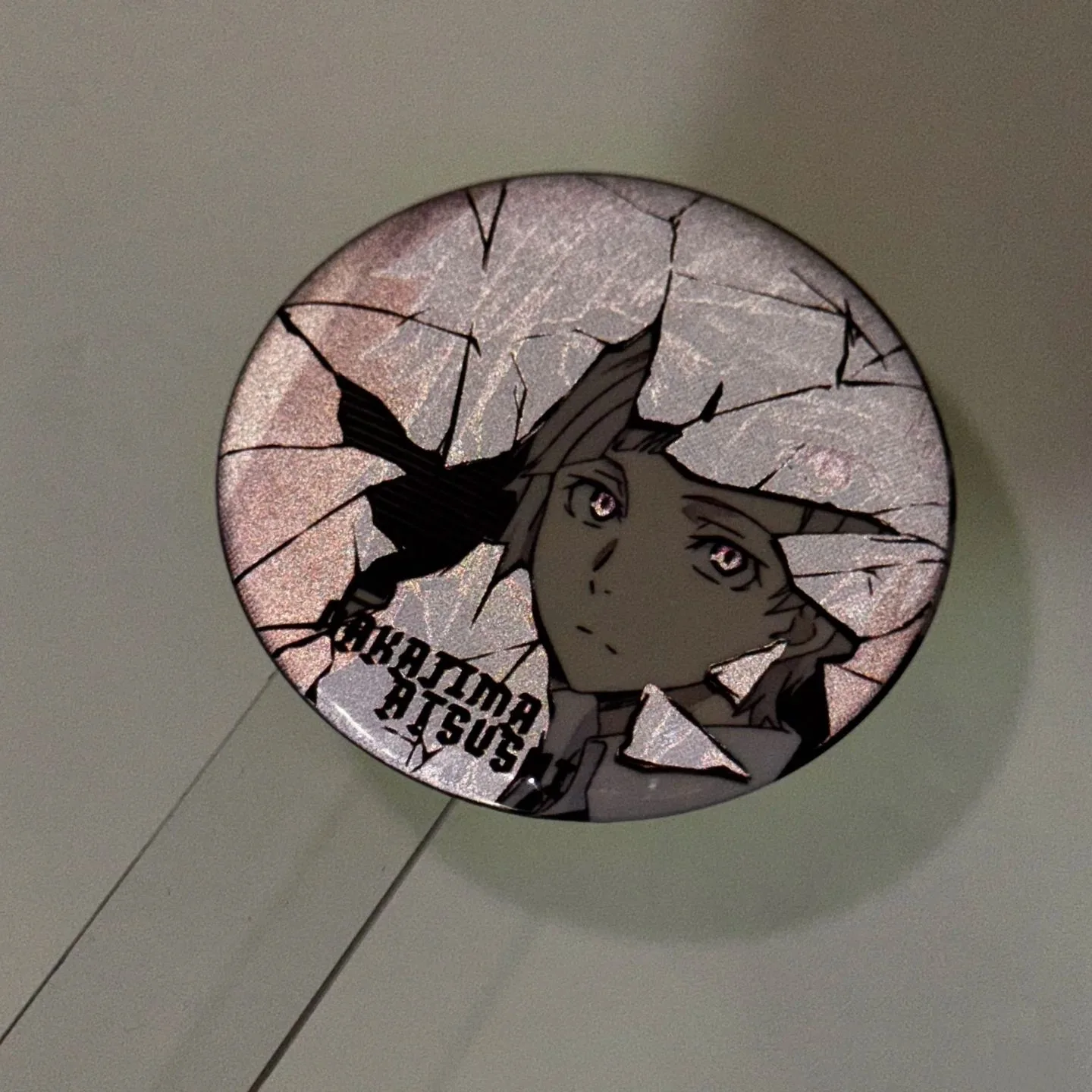 Renowned literary figure, wild dog Dun Akutagawa, Ryunosuke Nakahara, stunning beauty, shattered feeling, reflective badge