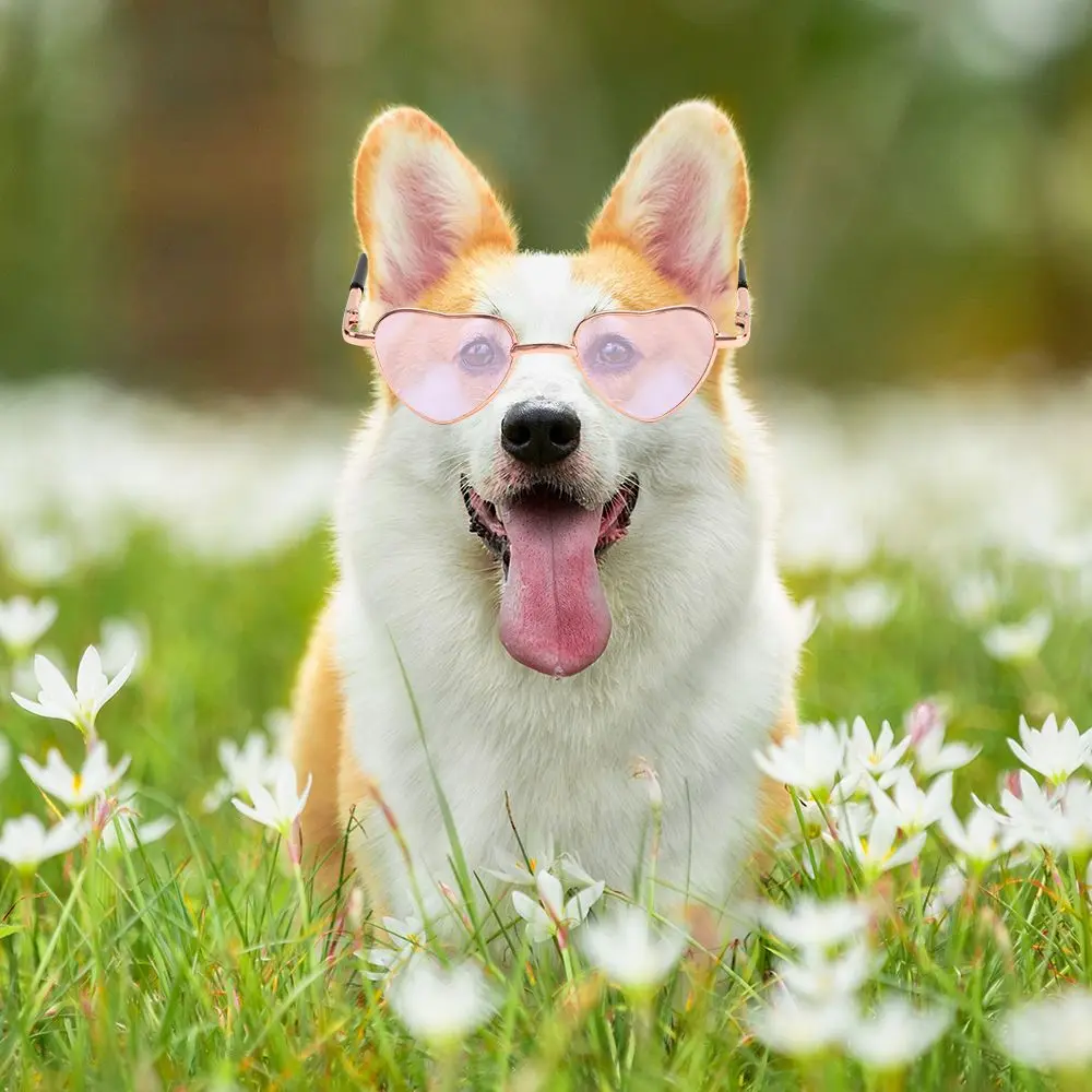 Retro Cosplay Dolls Sunglasses Costume Heart Metal Sunglasses Cat Glasses Cats Small Dogs Dog Glasses