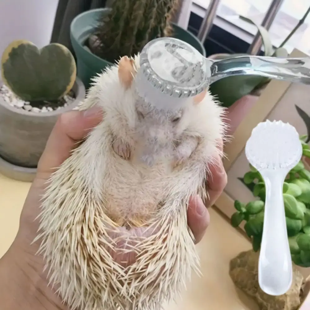 Soft Small Hamster Brush Long Hair Plastic Golden Bear Cleaning Comb Round Head Hamster Cleaning Brush Guinea Pig Massage Combs