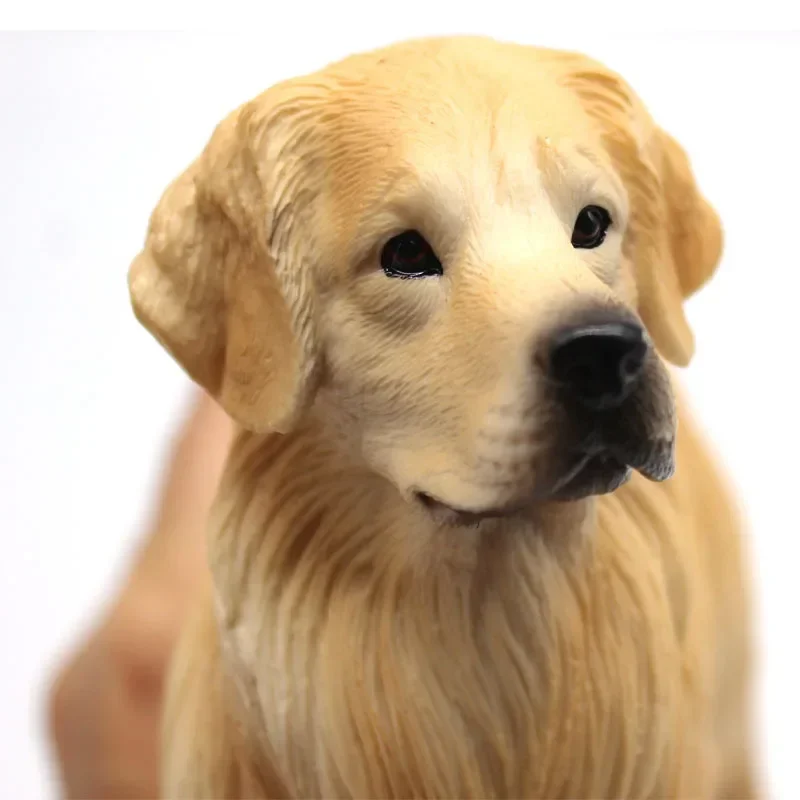 Modelo realista de Golden Retriever, estatua de perro realista grande, decoración para mascotas, juguete educativo, regalo de cumpleaños