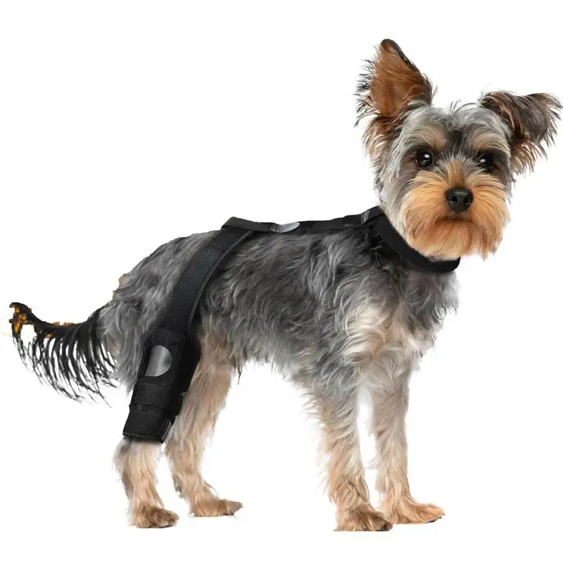 Dog Knee Brace Rear Leg Support Brace Non-Slip Pet Knee Sleeve With Adjustable Strap Soft Protector For Mobility Fixation