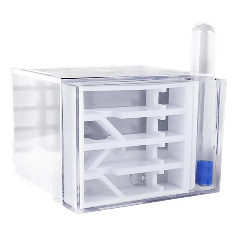 A25F-Nido de hormiga Colonia Nido de hormiga Caja de cría Ciencia Educativa Habitat de hormiga para niños