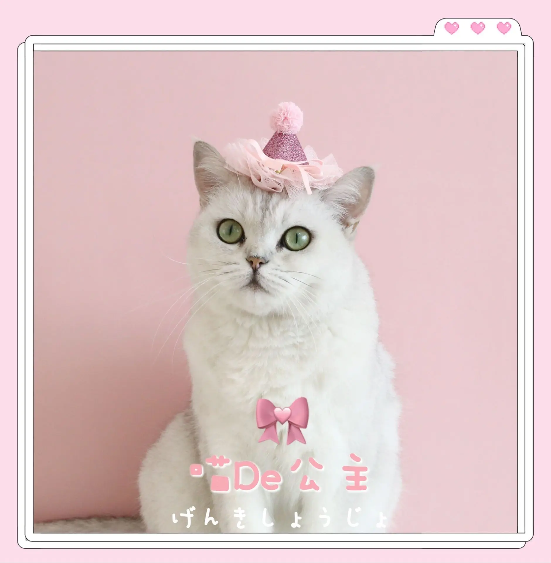 Cat Accessories Dog Fashion Lace Sequins Three-dimensional Birthday Hat Headwear Bowknot Sweet Pet Supplies Pet Accessories