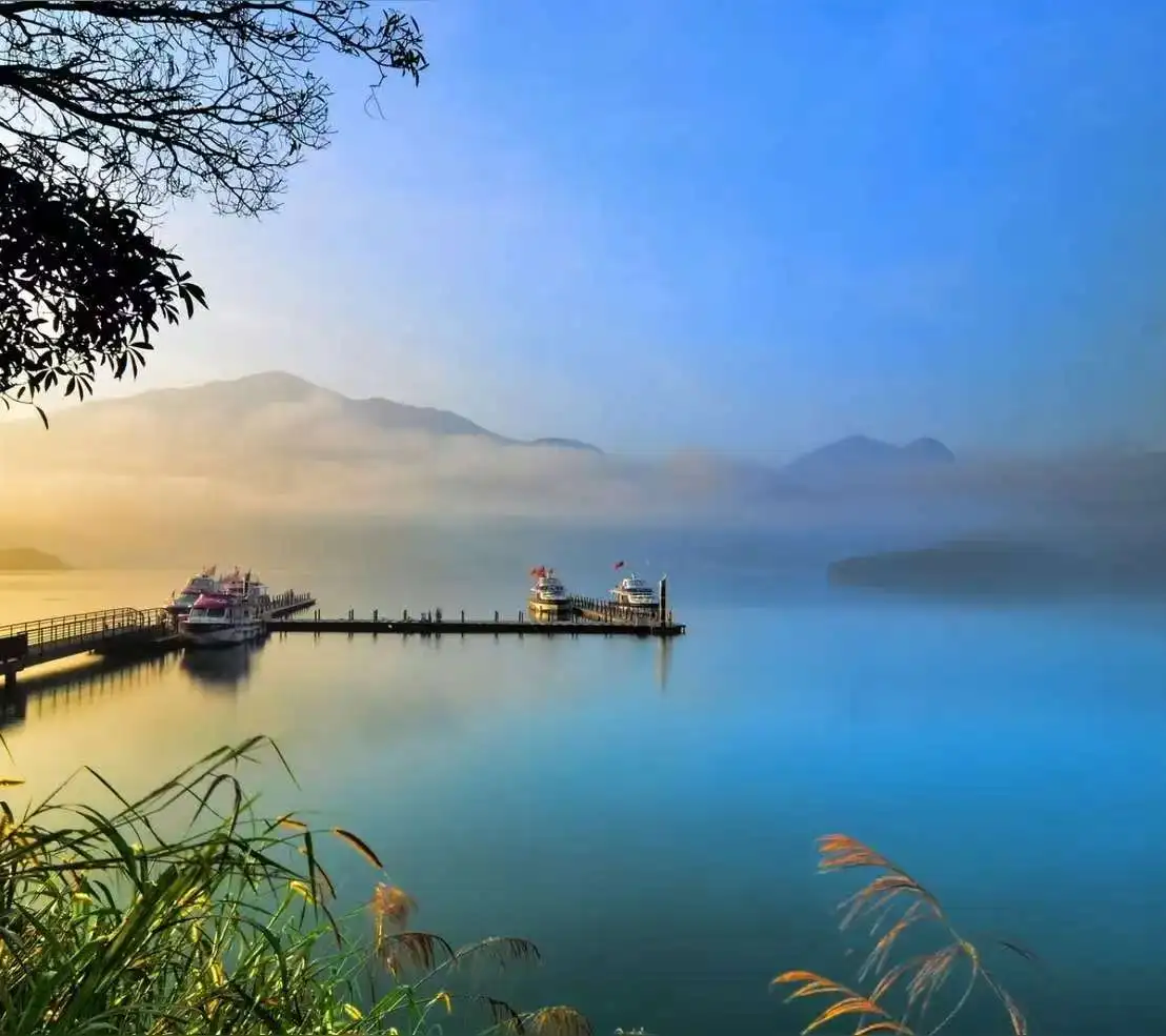 종합 피부 분석 3D AI 얼굴 피부 분석기 피부 문제 진단 8 스펙트럼 전문 분석