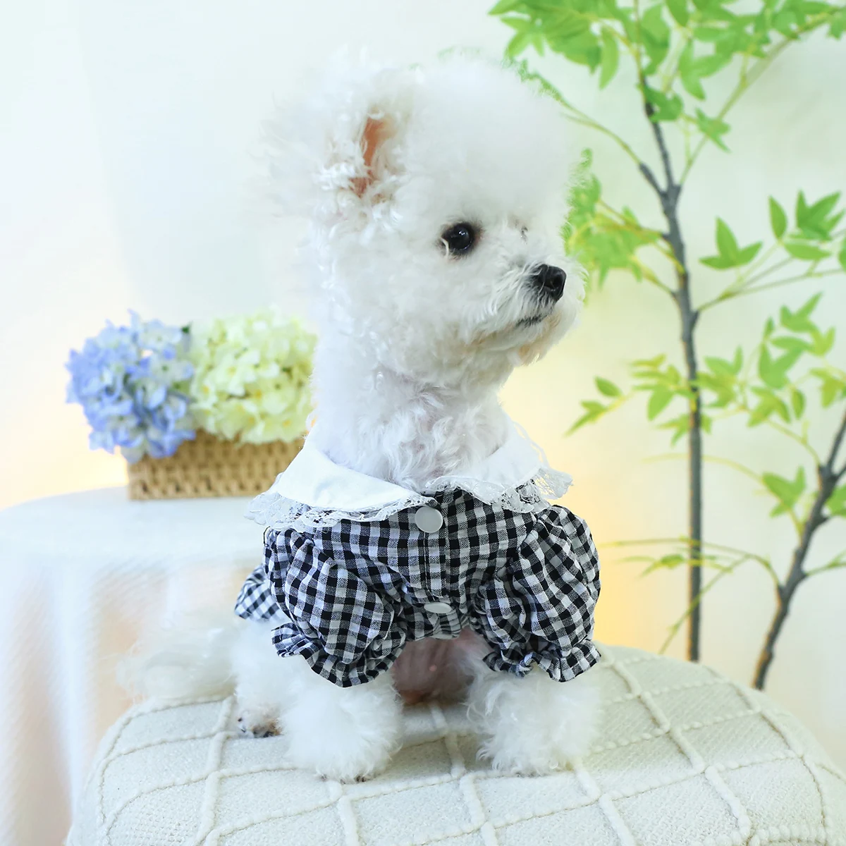 1PC Pet Clothing Cat Spring/Summer Thin Black and White Red Apple Skirt Suitable for Small and Medium Dogs