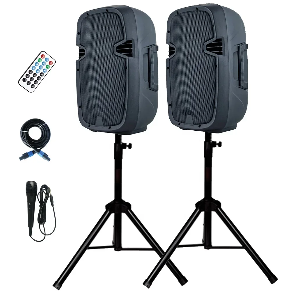 Professional audio 1000W 2 Way Powered combo 10