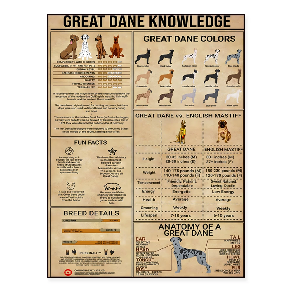 Affiche de connaissance de Great Dane, toile imprimée Vintage pour animaux de compagnie, décoration murale pour la maison et le bureau, cadeau pour les amoureux des chiens