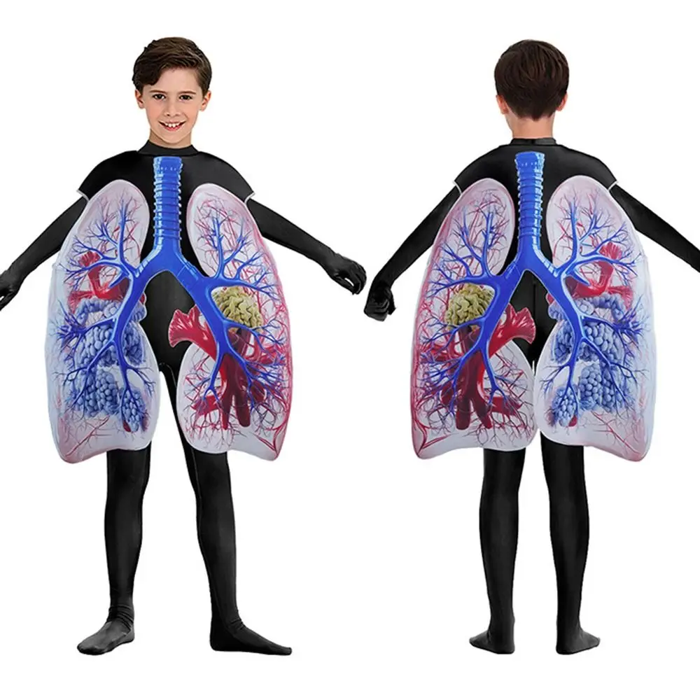 ความคิดสร้างสรรค์การออกแบบหัวใจคอสเพลย์เครื่องแต่งกายที่สมจริงอวัยวะภายในพิมพ์จําลองอวัยวะมนุษย์เครื่องแต่งกายตลกสบาย