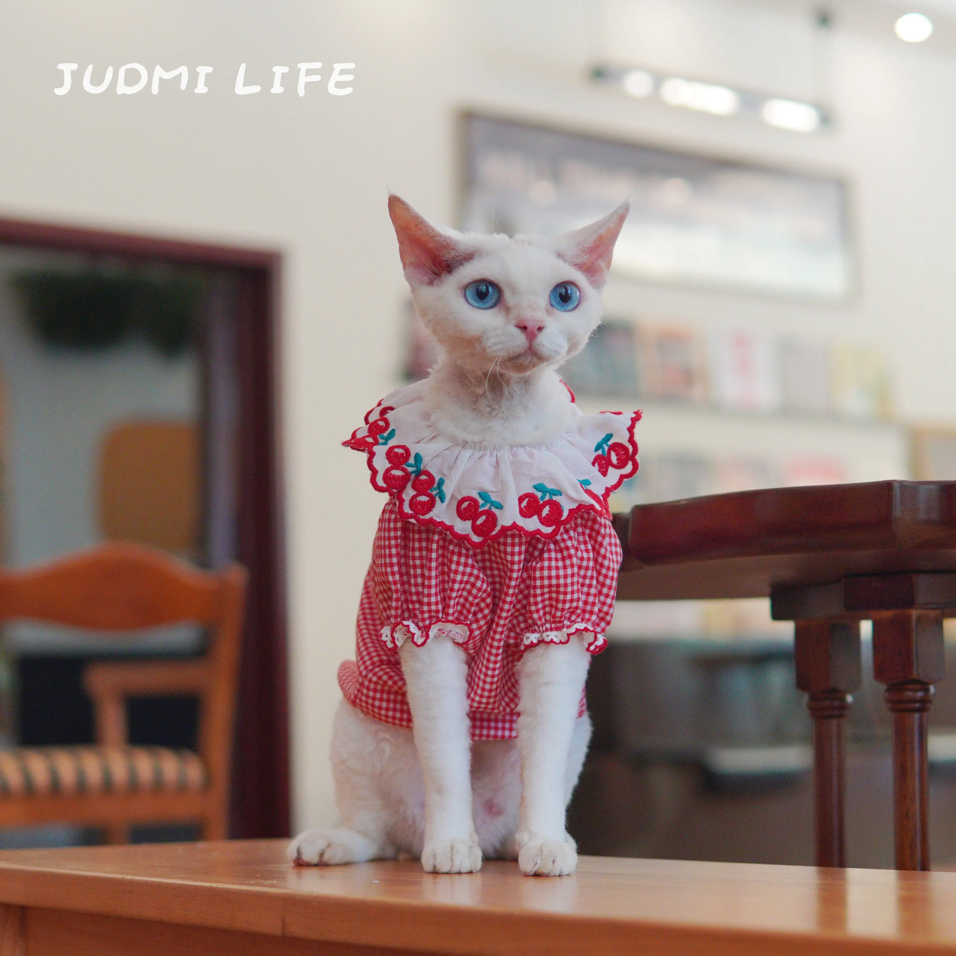 Pink Cotton Vest for Female Cat Summer Strawberry Skirt for Hairless Cat Sweet Colorful Country style Thin Dress for Sphynx