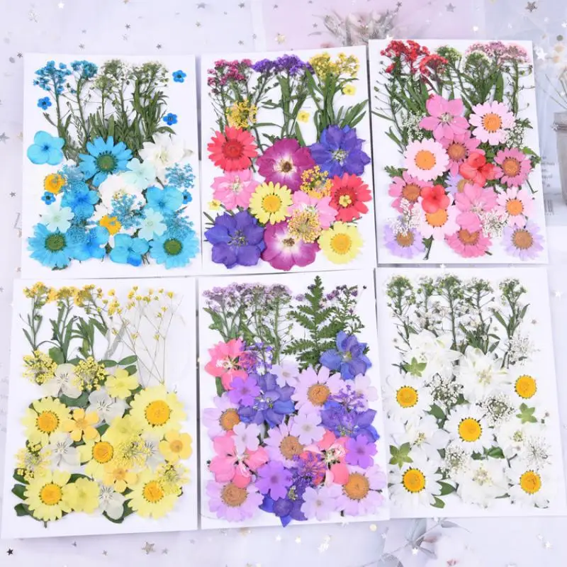 Pressed Flowers DIY Dried Flower Material Kit Embossing Drip Resin Ornament Filling Leaf specimen Stickers Handbook Decorations