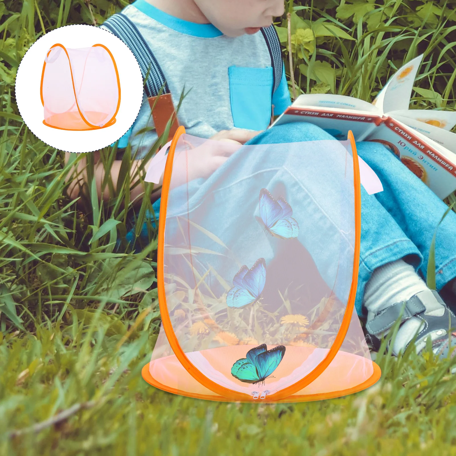 

Collapsible Insect Mesh Cage Butterfly Habitat Kit Portable for School Projects Backyard Exploration Caterpillar Growth