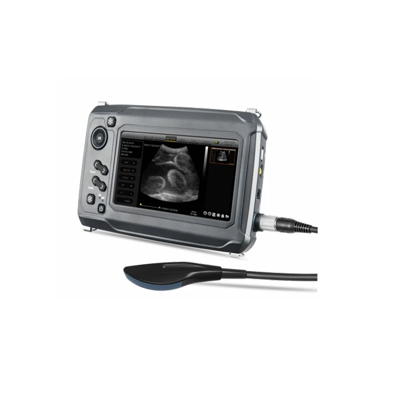 BMV Veterinary Portable Ultrasound Multifunctional Handheld Veterinary Ultrasound Scanner