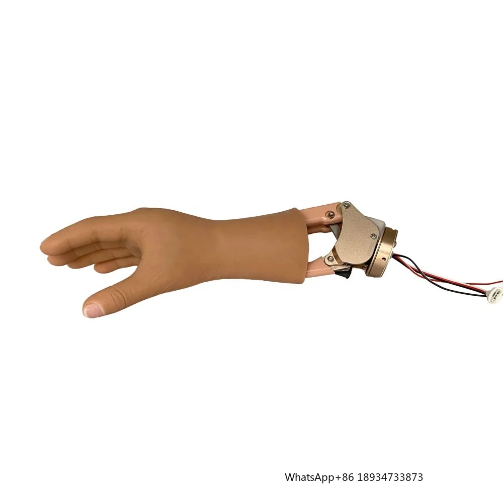 Prosthetic Implants Artificial Limb Myoelectric Half Hand Wrist Rotation Prosthetic Hand