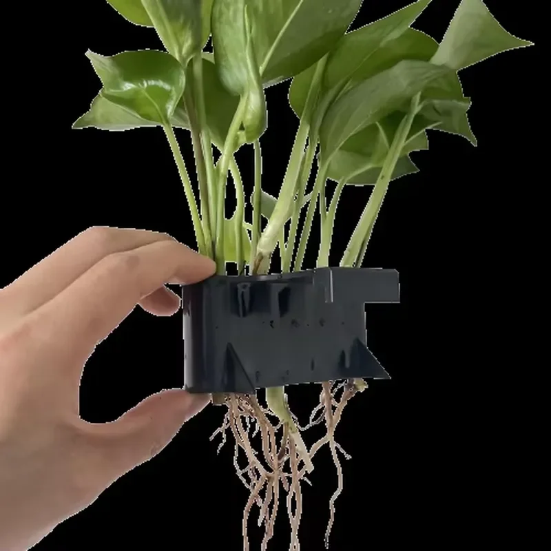 DD1890 Emerging Hanging Aquatic Fish Tank Plant Stand with Hook Potted Rack Decorative Aquarium Plant Stand