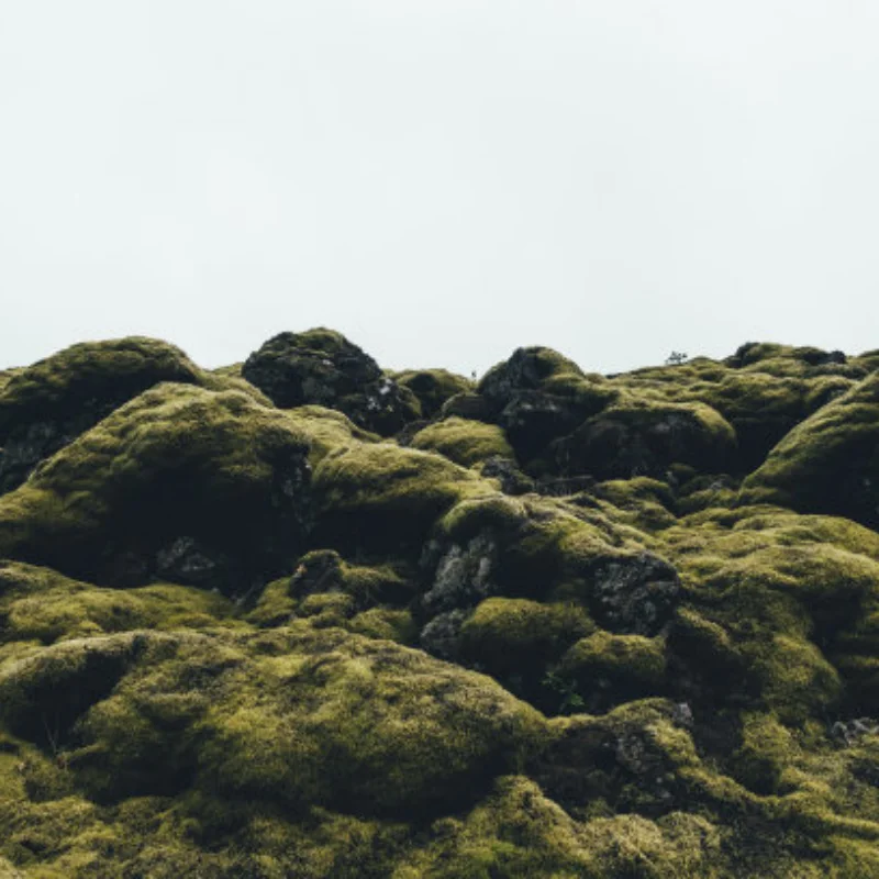 

FOR UD1201 UD1202 UD-12PRO Metal Shock Tower Plate 1/12 RC Car Upgrade Parts Accessories