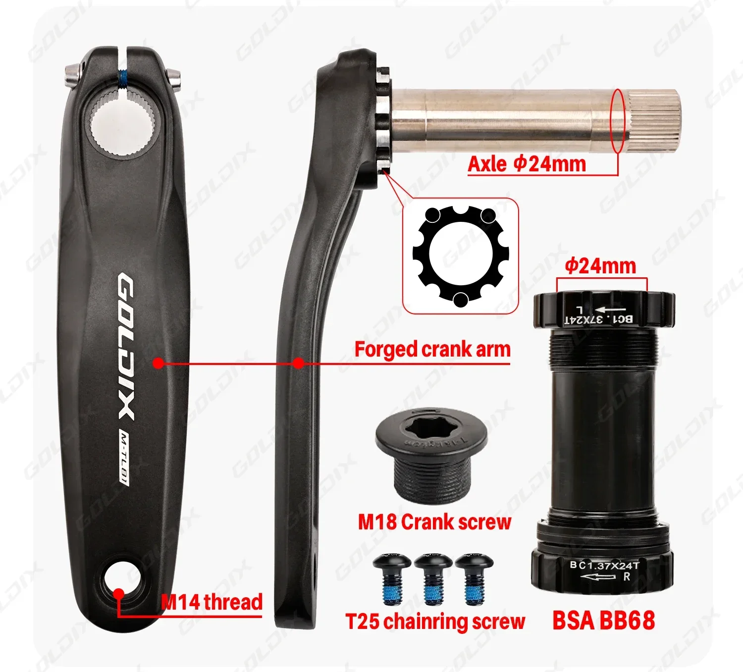 GOLDIX MTB XC Kurbelgarnitur Narrow Wide 3mm Offset AERO Kettenblatt 165/170/175mm Kurbellänge für 3-Bolzen-Direktmontage-Kurbel – Detail 4