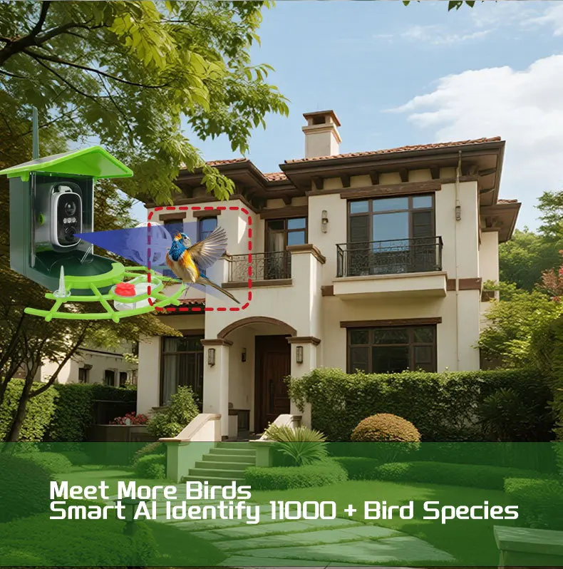 Smart Bird Feeder 1080P Camera AI Recognition Solar Charging ABS Material All Seasons Outdoor Pet Feeder Global