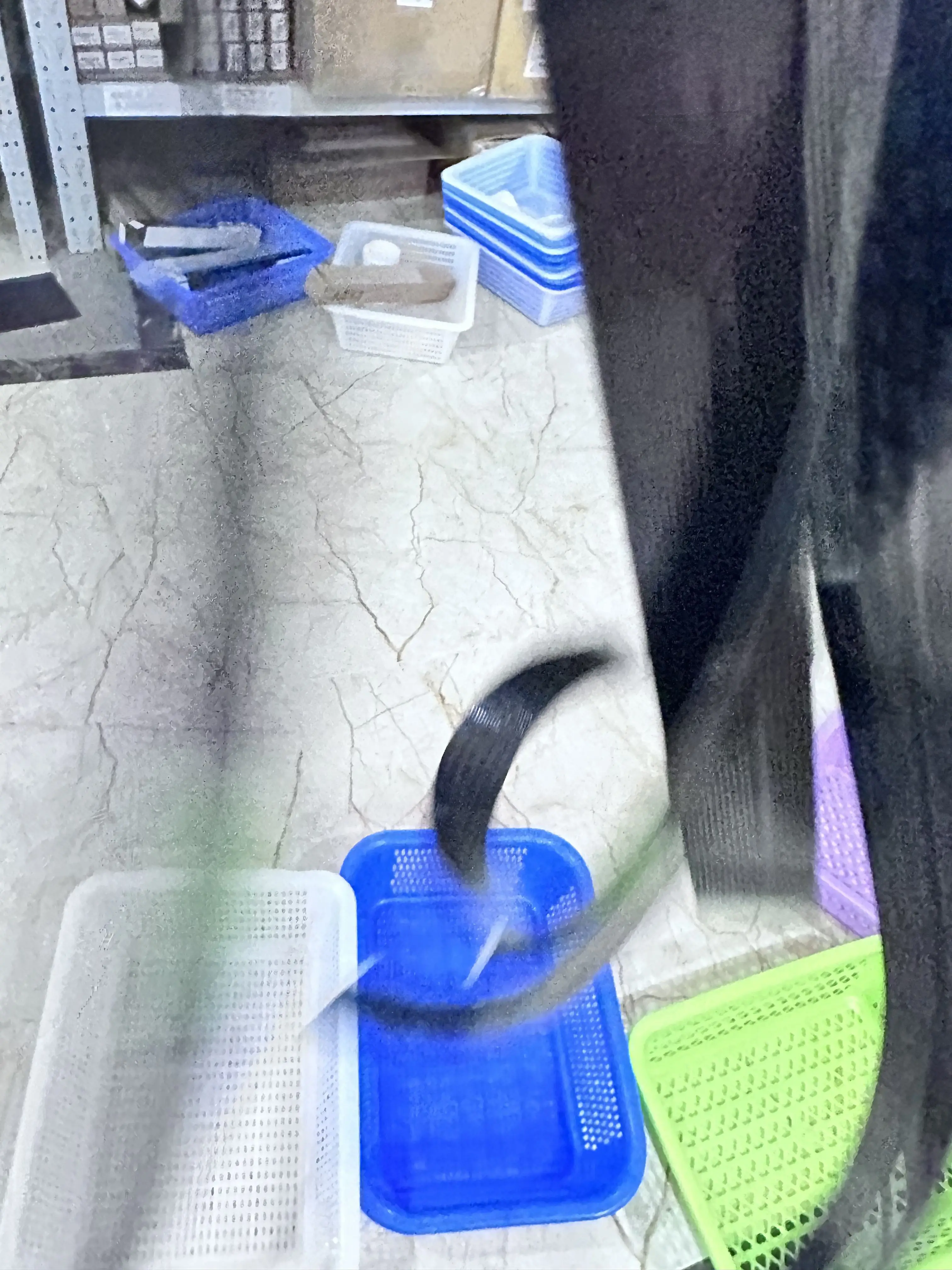 

5PCS Scanner Cable for HP Smart Tank 515 530 115 310 315 415 419 615