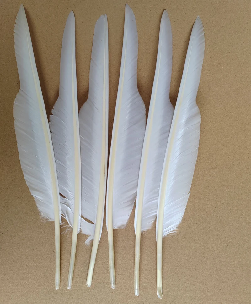

White Feathers! 100Pcs/Lot 12-14" 30-35cm White Goose Quill Feathers Wedding/Cosplay/Indian Headdress Feathers Left/Right Side