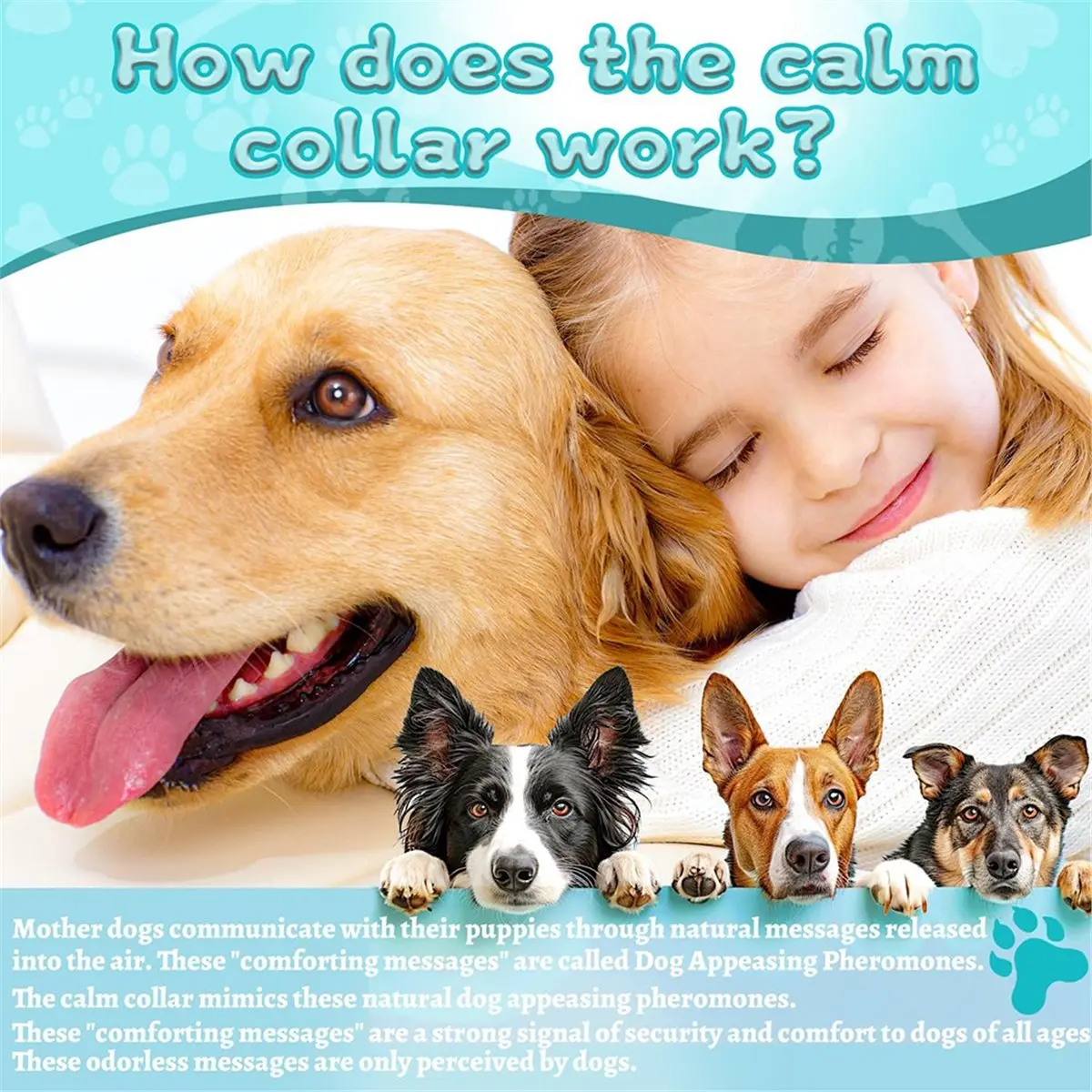 Soothing Collars, 4-Pack for Dogs to Calm and Prevent Stress, Essential Pet Supplies.