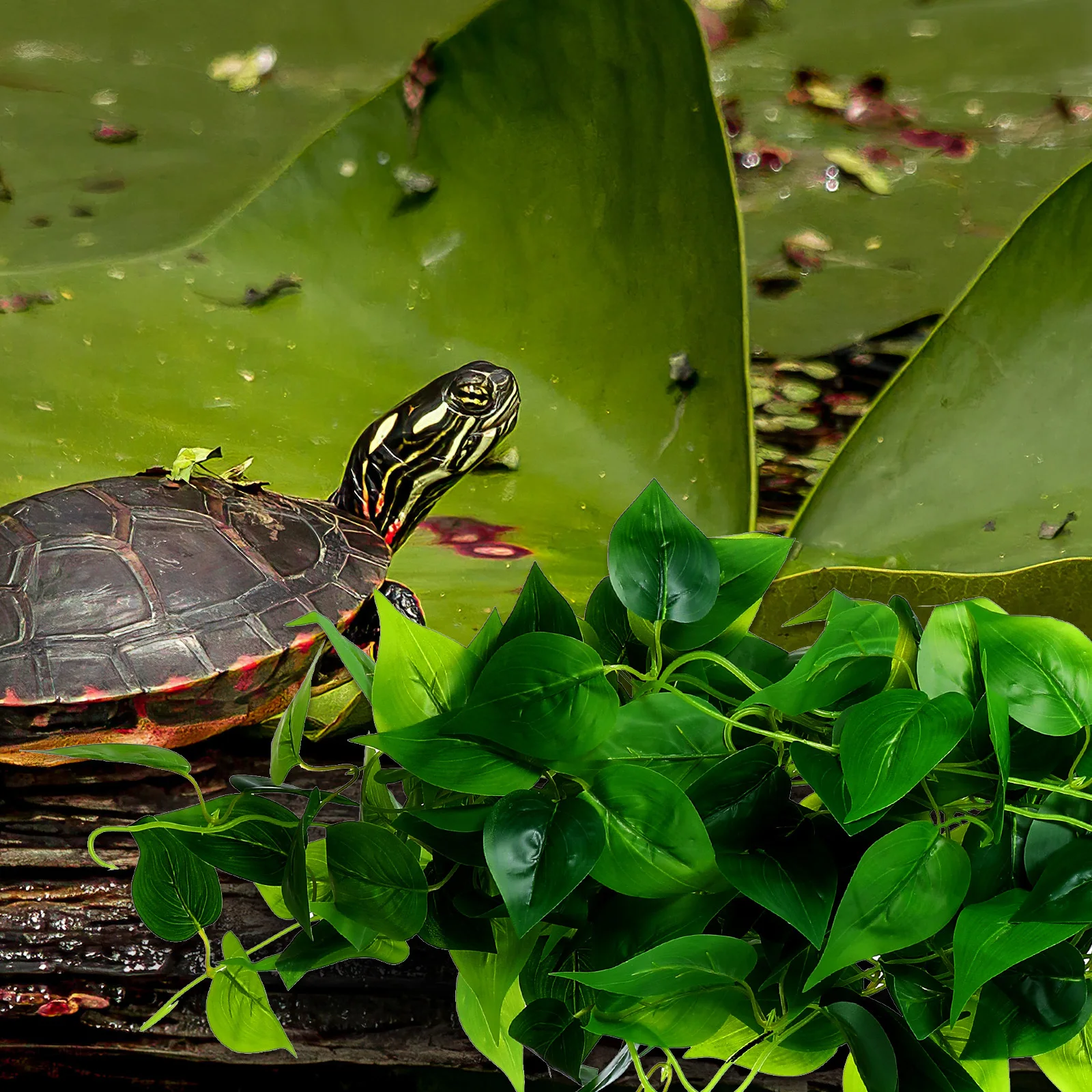 2 قطعة الزواحف الاصطناعية لتررم ديكور الملتحي التنين خزان اكسسوارات الزواحف فاينز النباتات النباتات وهمية ل أبو بريص الأفعى