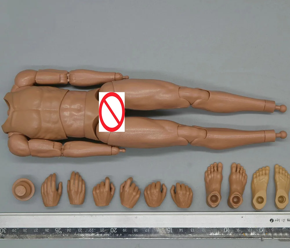 

Hot Sales 1/6th Alert Line Male Man Body Action Figure with Hand Foot Neck Connector Toys Model For 12" Doll Figure Collect