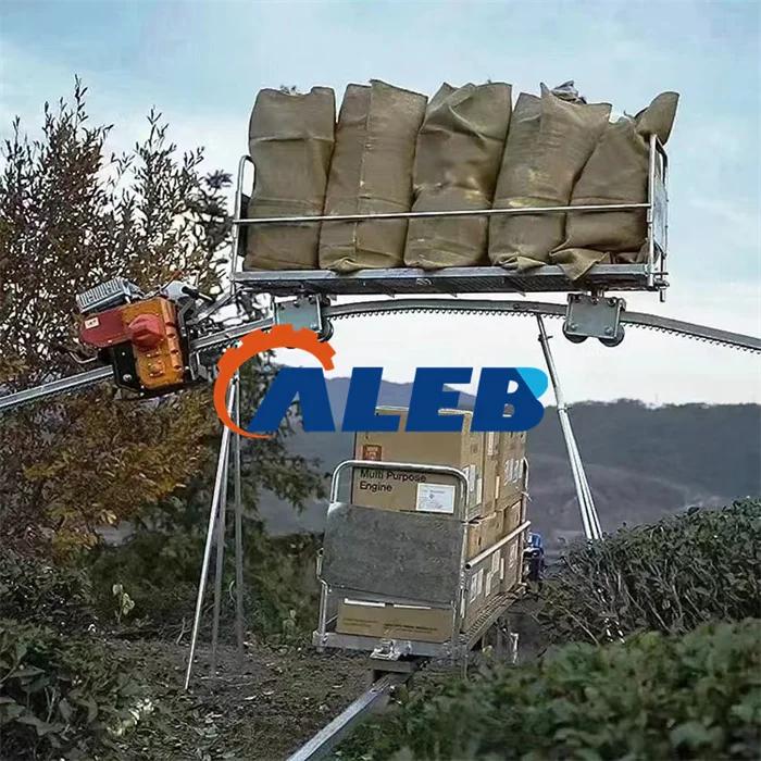 2026 Hot sellingSelf-propelled Orchard Mountain Monorail Transport/Hot Sale  Monorail Conveyor Transporter
