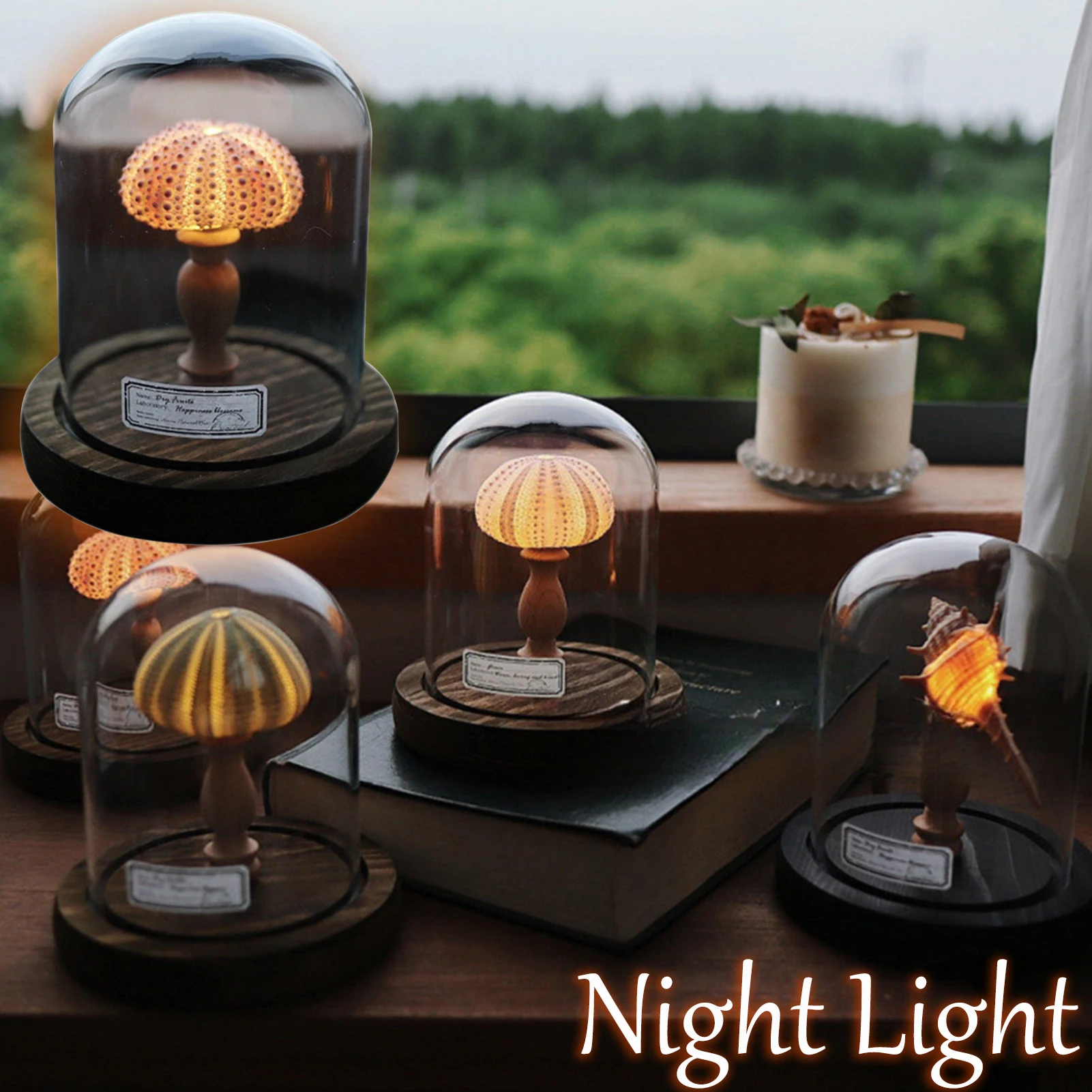 DIY Meerestier Nachtlichter Batteriebetriebene tragbare Pilzlampe Muschel Muschel Ornament für Zuhause Schlafzimmer Dekoration