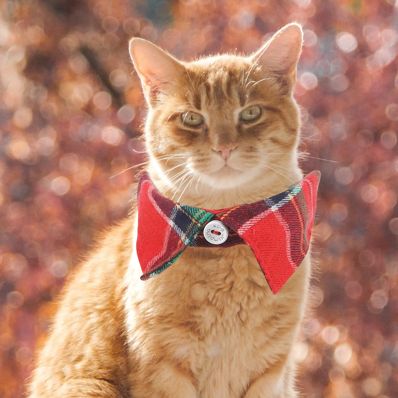 

Decorative Cat Collar Skinfriendly Breathable for Daily Life Makes Your Pet Stand Out in Crowds Attracts Attention