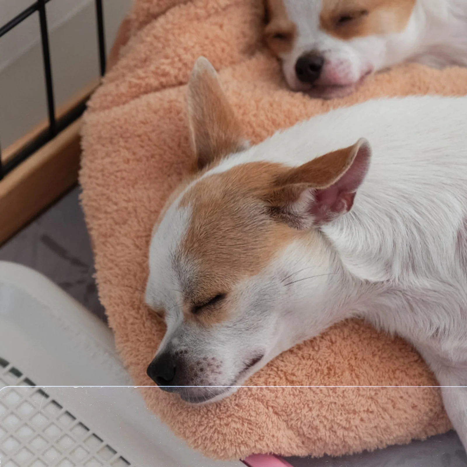 

8pcs Pet Fence Cage Edge Guard 35x7cm Clear PVC Small Animal Small Pets Cage Blocker Blocker Dog Guinea Pig Cages
