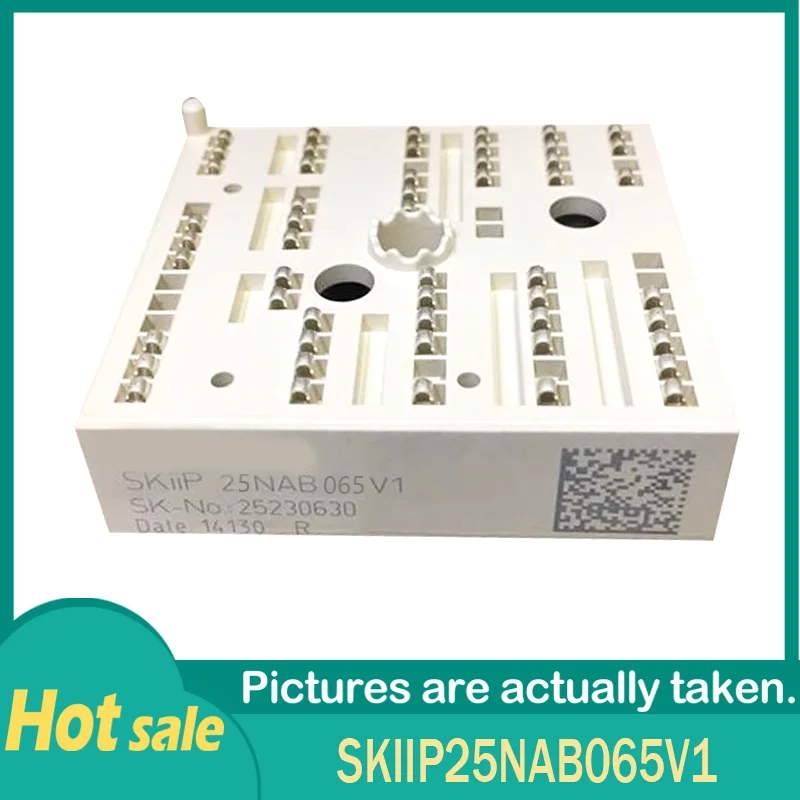 

100% Working SKIIP25NAB065V1