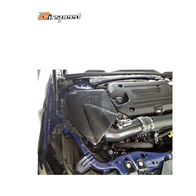 

Airspeed Fully Meet the Out Put of More Horsepower 100% Dry Carbon Fiber Cold Air Intake System For BUICK REGAL GS 2.0T 2021-UP