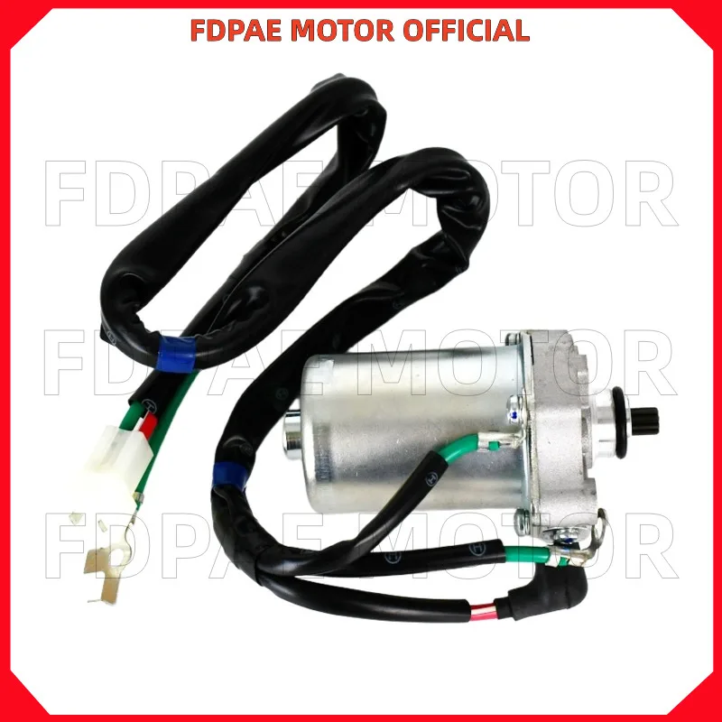 Starter Motor for Wuyang Honda Nbx100 Wh100t-2c-5a-6-6a