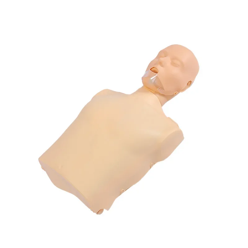 Cardiopulmonary resuscitation simulator, dummy, mannequin, first aid training, artificial respiration eraser