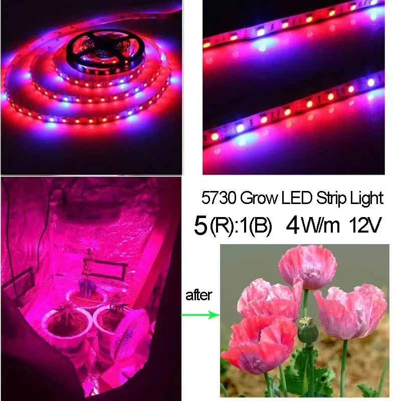 New 5730/5630 Plant Grow SMD LED Strip Light  5m/20W  12V 300LED 5R1B  Non-Waterproof Fast Shipping