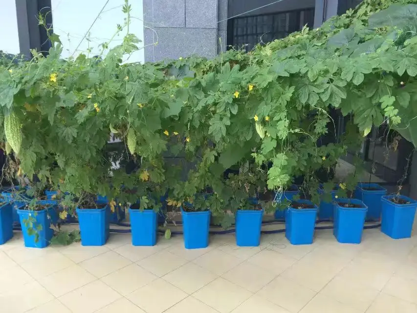 2025年農業深層水耕栽培バケツ水耕バケツ