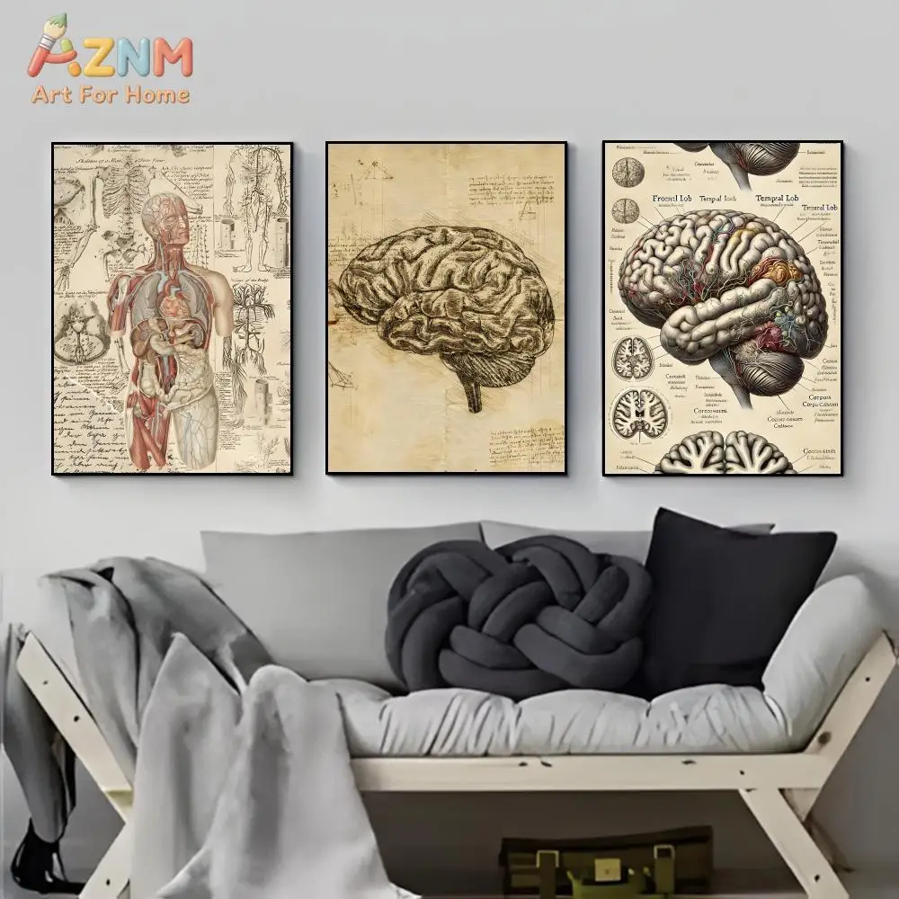 AZNM Vintage Human Anatomy Canvas Wall Art Prints Brain Muscular System Medical Diagram Biology Home Decor Poster