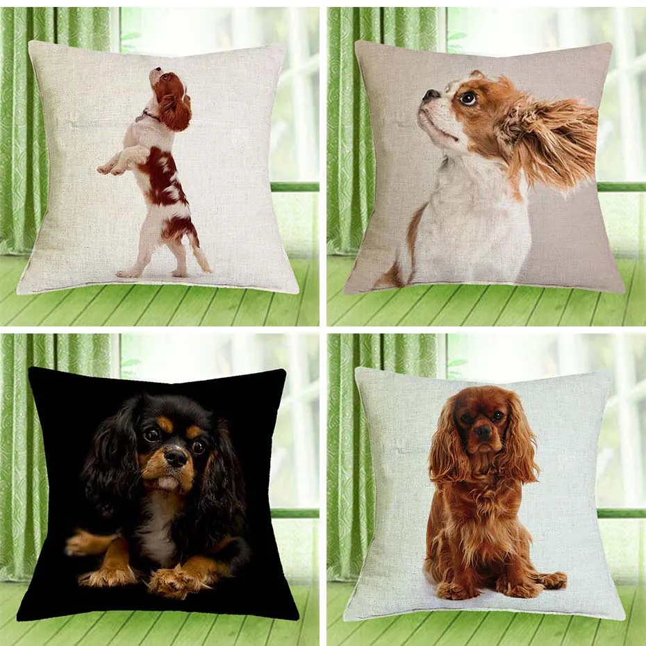 Cavalier King Charles Spaniel 45x45 ซม.ปลอกหมอนห้องนอนโซฟาตกแต่งบ้าน