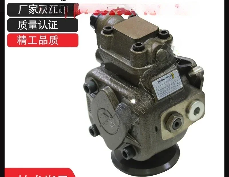Imported Italian vane pumps / valves 02-PVS2-50-FHRM Full range of hydraulic oil pumps