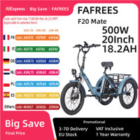 Fafrees F20 Mate Folding Electric Tricycle 500W 48V 18.2Ah Electric Trike Outdoor 20\