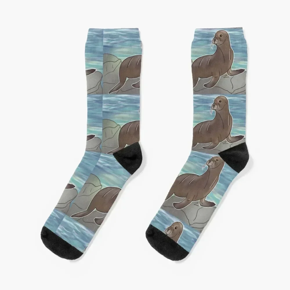

California Sea Lion Socks valentine gift ideas Running Climbing Run Socks Women's Men's